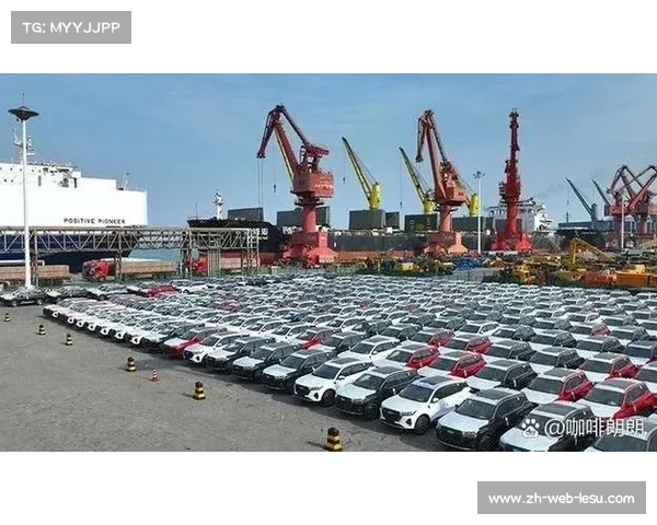 阿卜杜勒瓦哈布强势夺冠彰显非洲重量级力量崛起